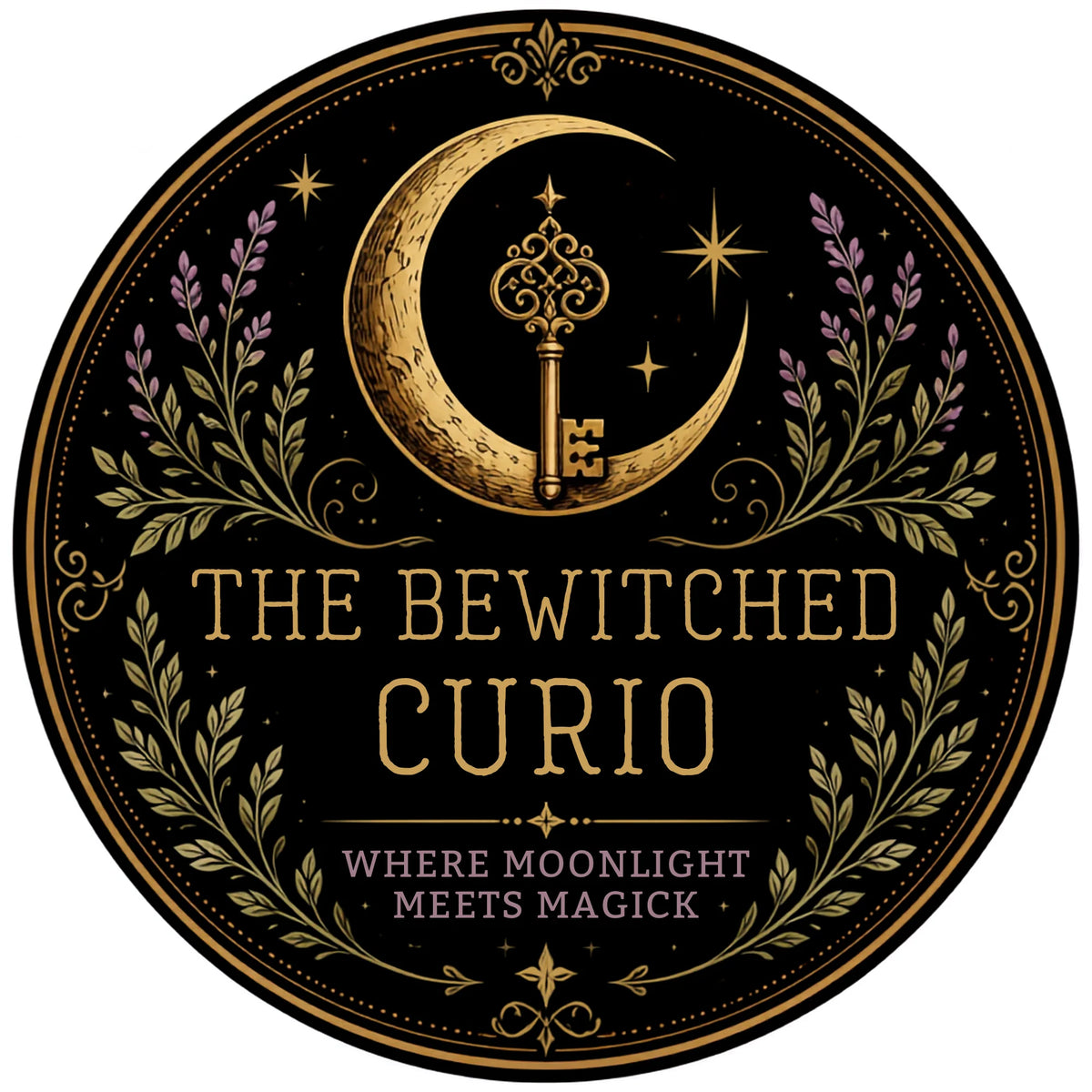 The Bewitched Curio